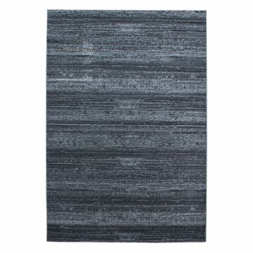 Plus koberec nízky vlas obdĺžnik 280x370cm sivá